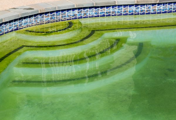 Pool Deck Algae Removal in Mequon