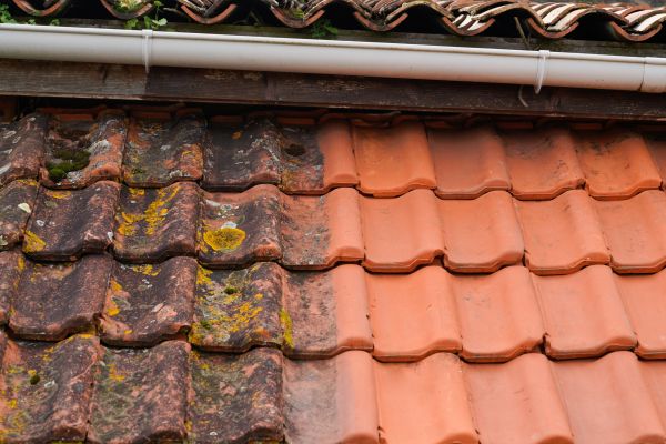 Industrial Roof Cleaning in Mequon